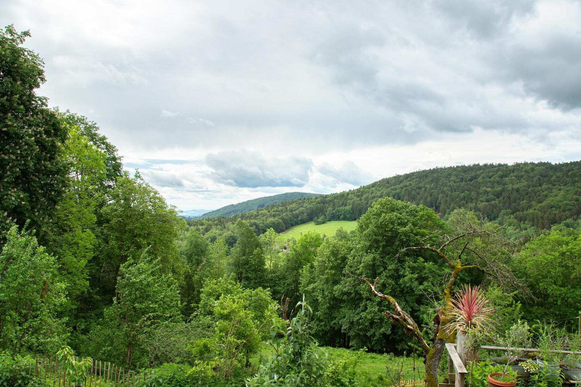 Landhaus Am Eselhof Daxstein Schöllnach Екстериор снимка